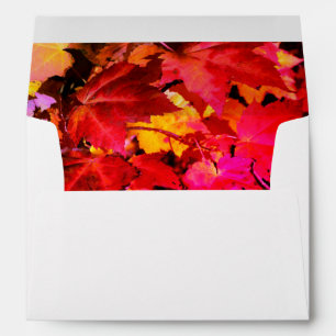 Enveloppe Coloré Feuilles d'automne orange rouge jaune coule
