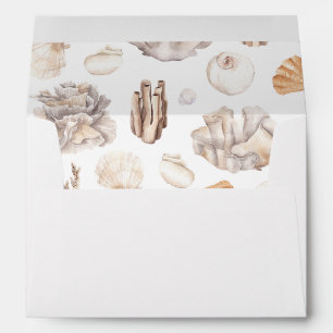 Enveloppe Coquillages 3