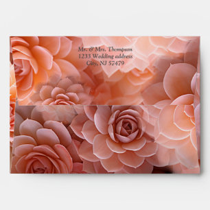 Enveloppe Couleurs succulentes de broyage d'abricot pour 202