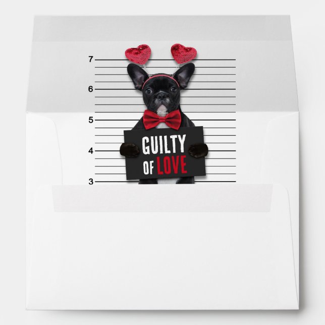 Enveloppe Coupable Amour Chien Mugshot Drôle Saint Valentin (Dos (Bas))