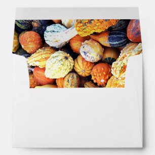 Enveloppe Courges Colorées C 