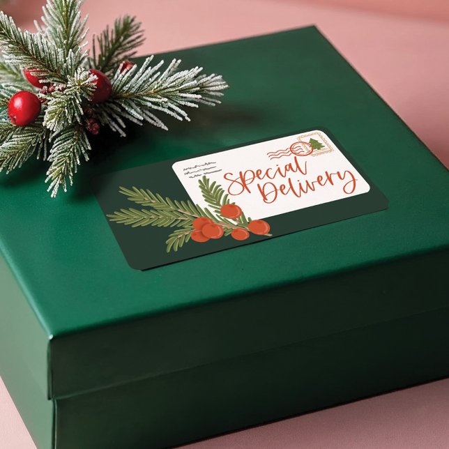 Enveloppe de livraison spéciale Festive (Festive Special Delivery Postage Envelope Label)
