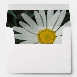 Enveloppe de marguerite blanche