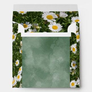 Enveloppe de marguerite verte