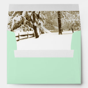 Enveloppe de menthe de scène hivernale