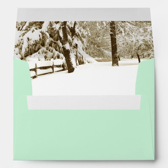 Enveloppe de menthe de scène hivernale (Dos (Bas))
