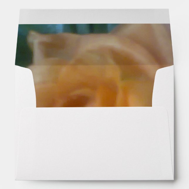 Enveloppe de photo (Dos (Bas))