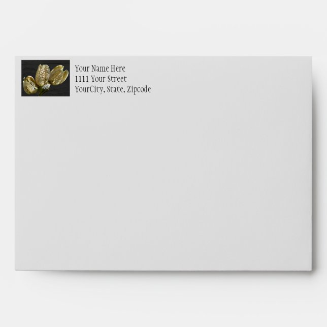 Enveloppe De Pods De Semis Lily Vide (Devant)