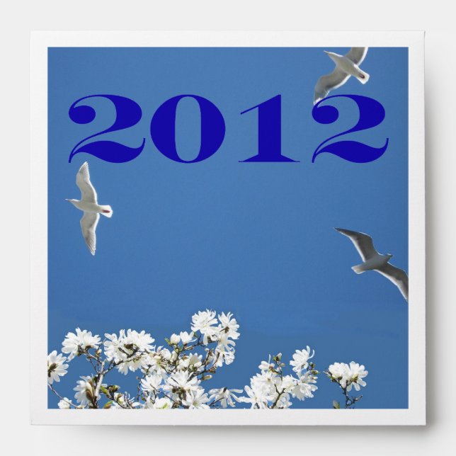 Enveloppe de souvenirs personnels DVD ou CD (Devant)