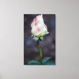 Enveloppe de toile rose