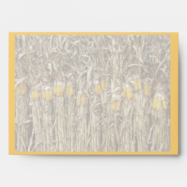 Enveloppe Décorations de stalles de maïs séché Thanksgiving (Devant)