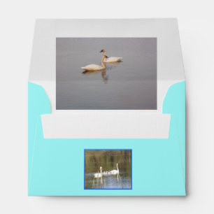 Enveloppe des cygnes blancs