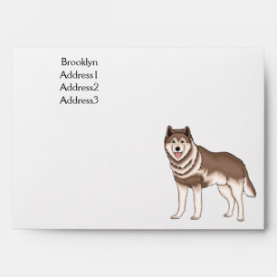 Enveloppe dessin humoristique sibérien husky