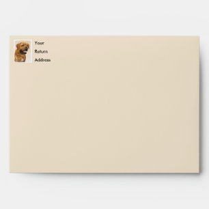 Enveloppe Dogue de Bordeaux Peinture - Cute Original Chien A