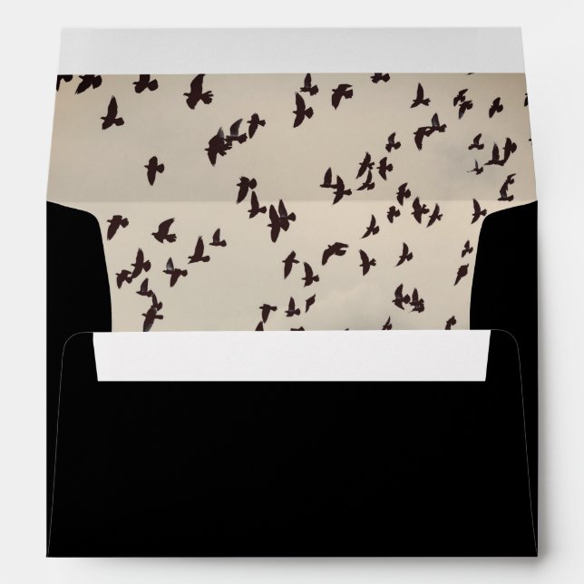 Enveloppe d'oiseaux déplaisants en noir (Dos (Bas))
