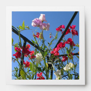 Enveloppe DVD Carré Flower Garden