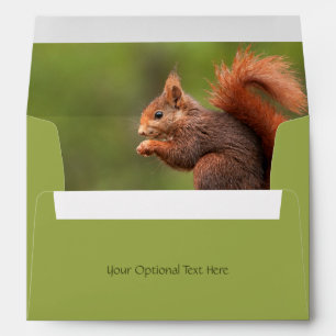 Enveloppe Écureuil mignon de texte personnalisé