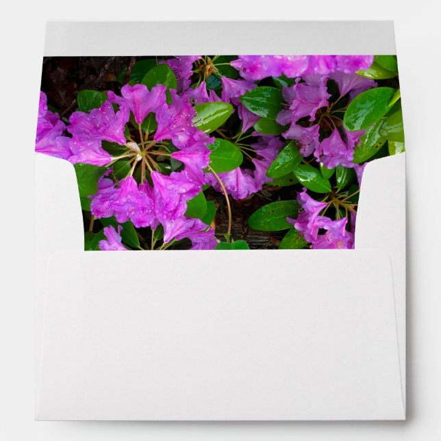 Enveloppe Elégants fleurs roses azalées roses (Dos (Bas))