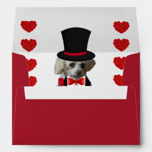 Enveloppe Envelopes assortis 'Thinking Of You Poodle' 5x7