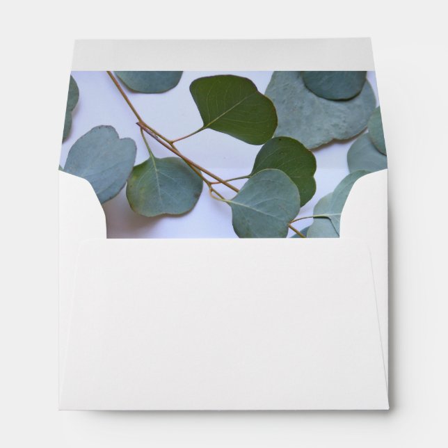 Enveloppe Eucalyptus plein (Dos (Bas))