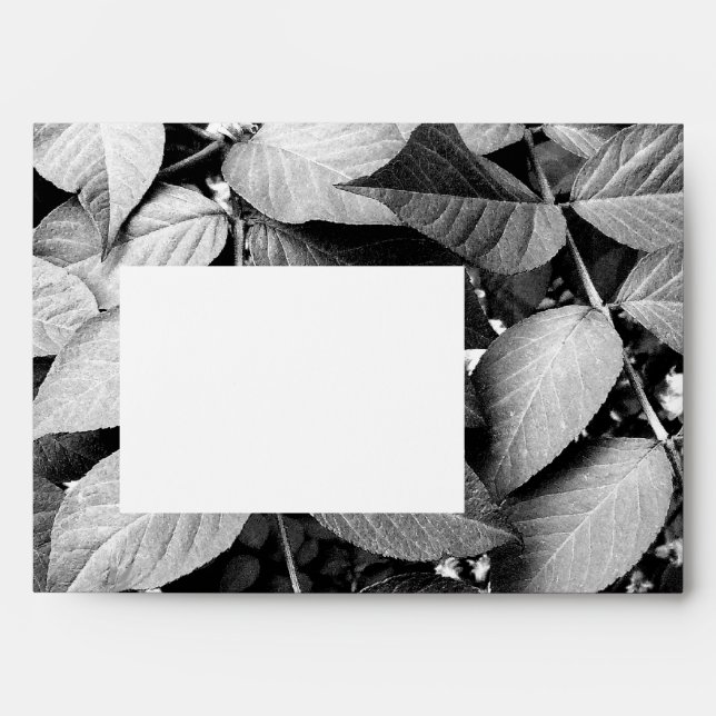 Enveloppe Feuille (Devant)