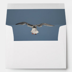 Enveloppe Feuille Seagull