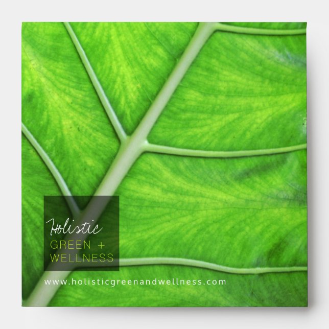 Enveloppe Feuille tropicale verte holistique Texture simple  (Devant)
