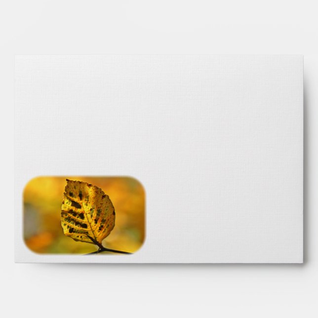 Enveloppe Feuilles d'automne éclatées de couleur (Devant)