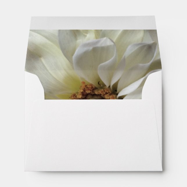 Enveloppe Fleur blanche sur pois (Dos (Bas))