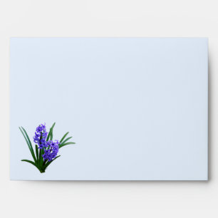 Enveloppe Fleur Hyacinth en pleine floraison