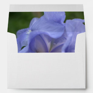 Enveloppe Fleur Iris Périwinkle