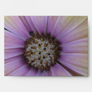 Enveloppe Fleur marguerite jaune et violet