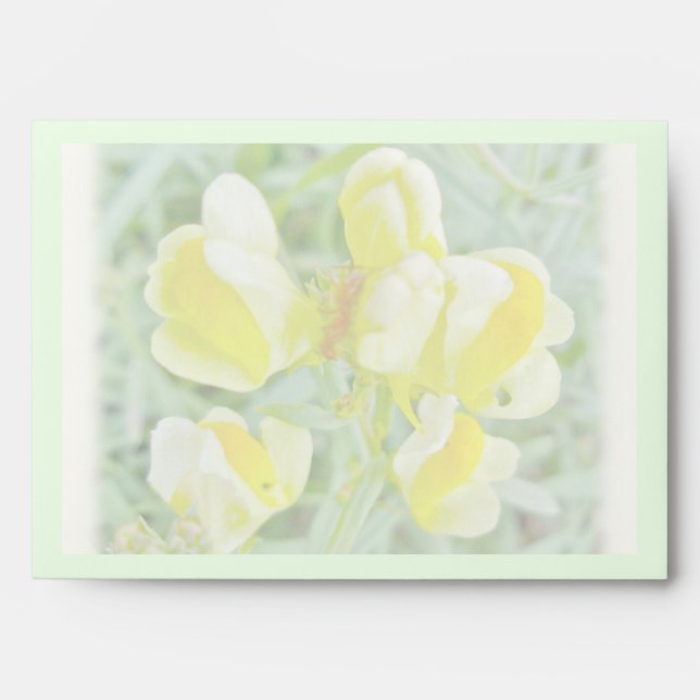 Enveloppe Fleur sauvage de beurre 'n OEufs (Devant)