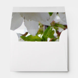 Enveloppe Fleurs blanches élégantes fleurs blanches fleurs b