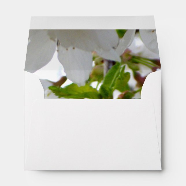Enveloppe Fleurs blanches élégantes fleurs blanches fleurs b (Dos (Bas))