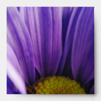 Enveloppe Fleurs brutes 10