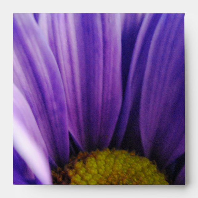 Enveloppe Fleurs brutes 10 (Devant)