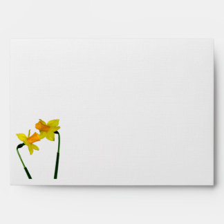 Enveloppe Fleurs de jonquille sur les produits cadeaux
