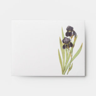 Enveloppe Fleurs Iris Violettes
