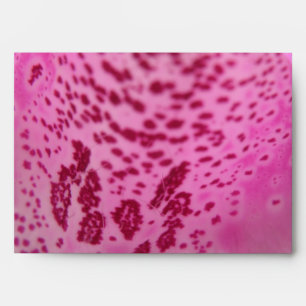 Enveloppe Foxglove rose