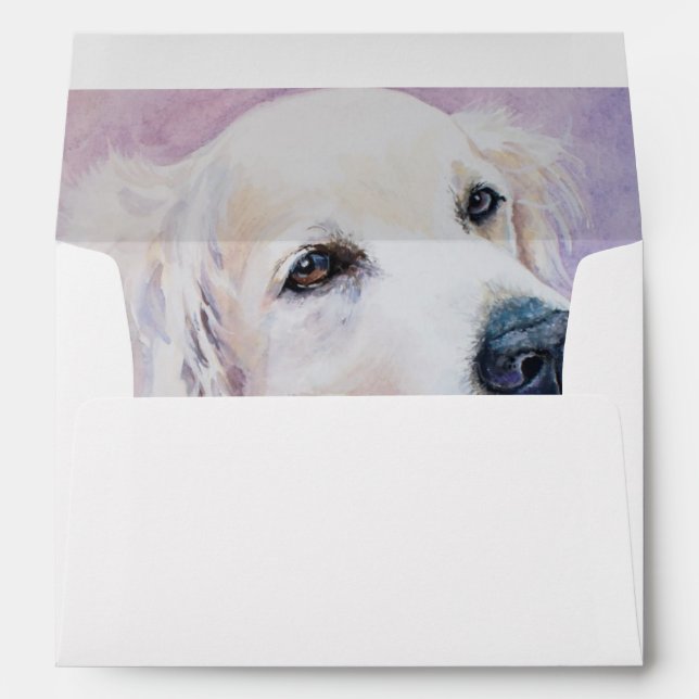 Enveloppe Golden retriever (Dos (Bas))