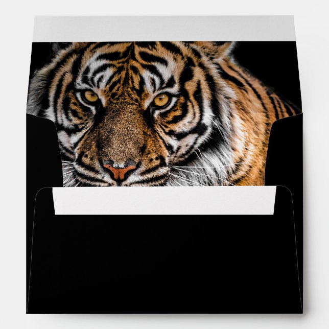 Enveloppe Golden Tiger (Dos (Bas))