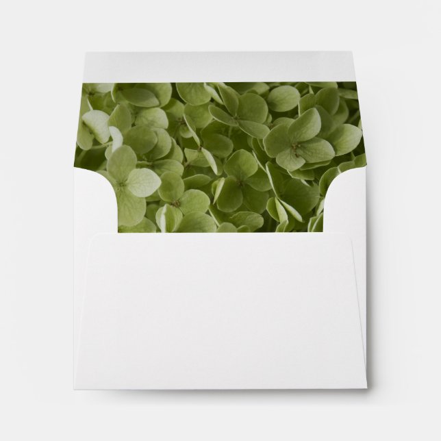 Enveloppe Green Annabelle Hydrangea Wedding RSVP (Dos (Bas))