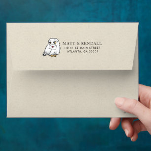 Enveloppe Harry Potter Baby Shower Livraison Spéciale Hedw