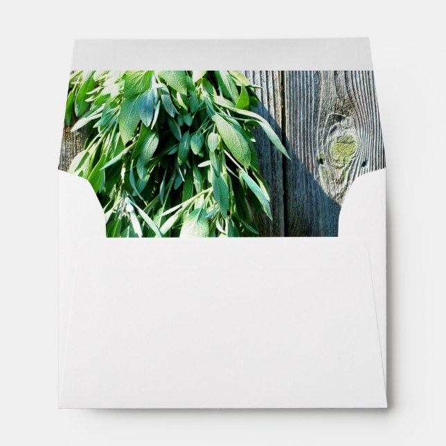 Enveloppe Herbe botanique Boho feuille rustique Bois-grange (Dos (Bas))