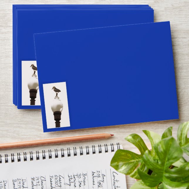 Enveloppe - Héron sur poste léger (Stacked)