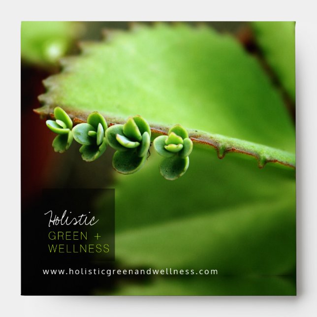 Enveloppe Holistic Green Baby Succulents Plante Texture Phot (Devant)