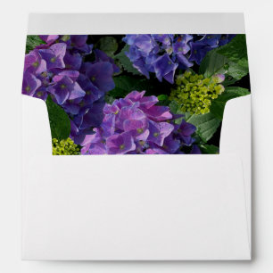 Enveloppe Hydrangea florale verte magenta bleu élégant