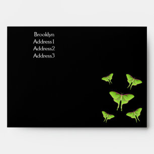Enveloppe Illustration de Luna Moth