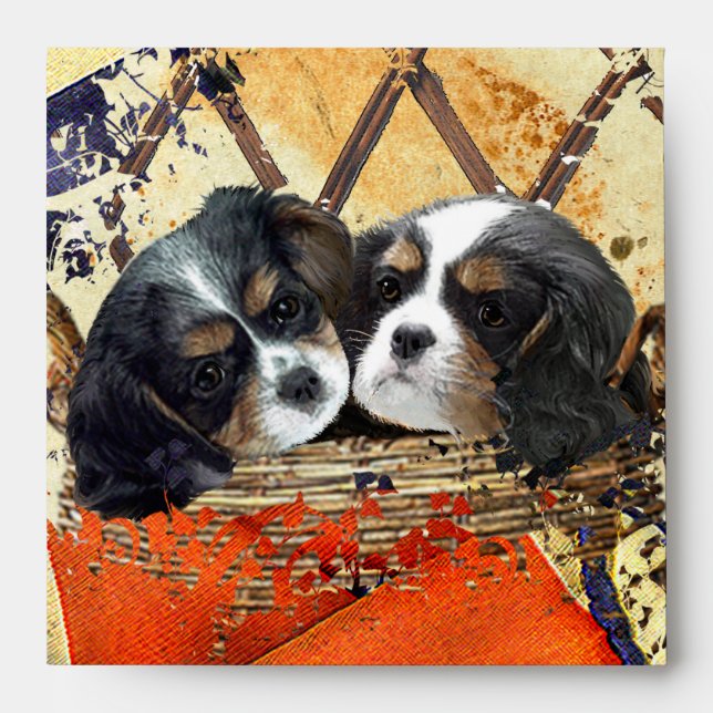 Enveloppe Invitation Cavalier King Charles Spaniel (Devant)